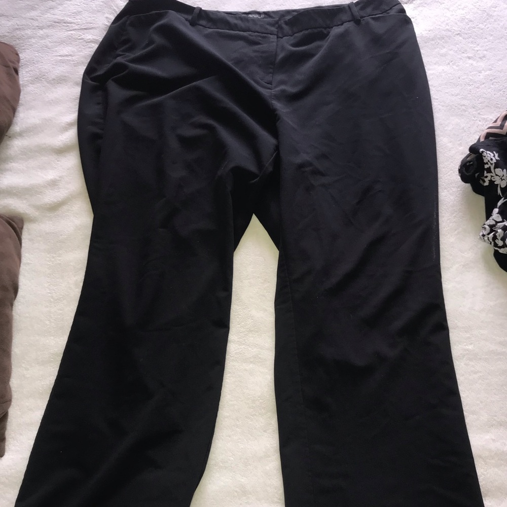 Dress pants